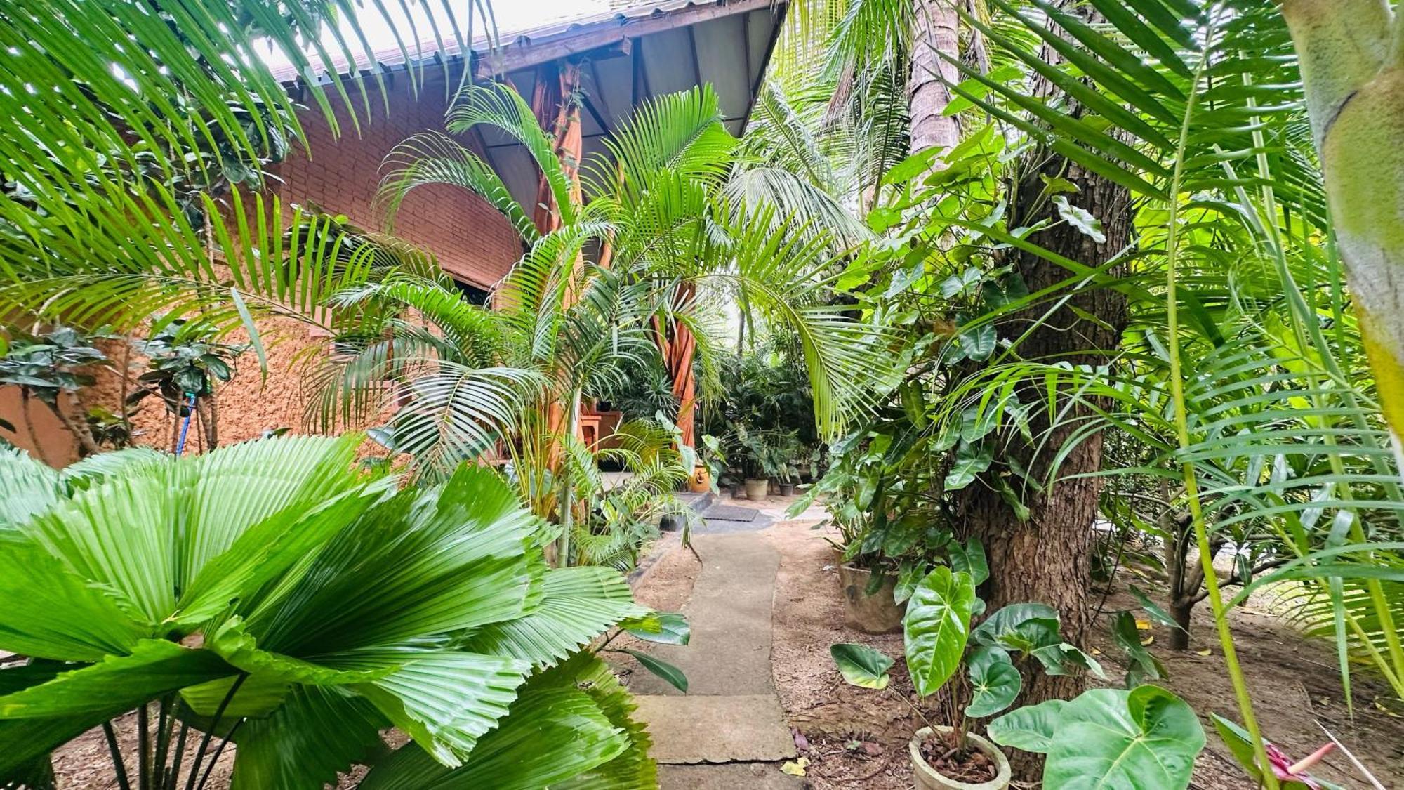 Ama Eco Sigiriya
