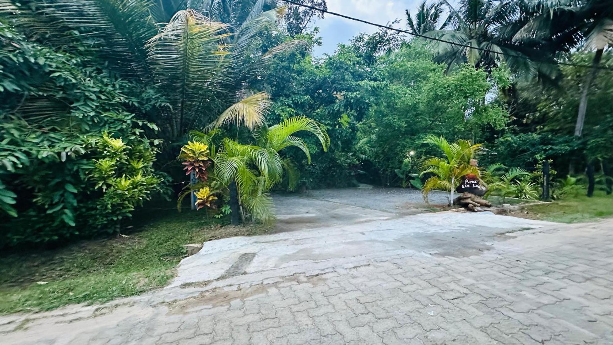 Ama Eco Sigiriya